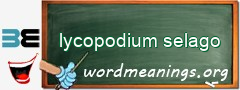 WordMeaning blackboard for lycopodium selago